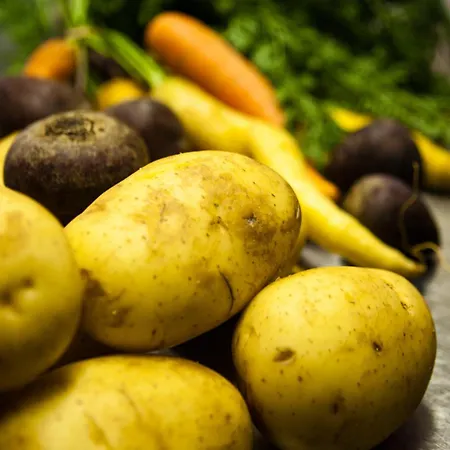 فندق Paulsen's Und Restaurant 3*