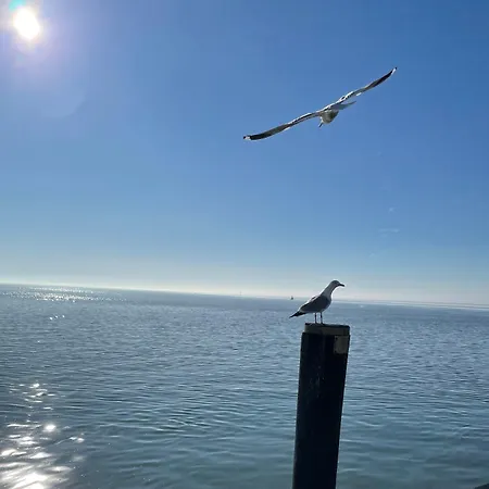 Paulsen's Und Restaurant 3* Bohmstedt