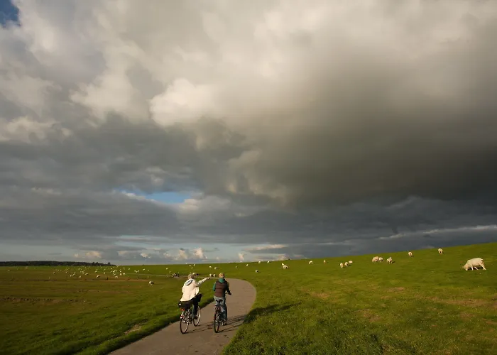 Hotel Paulsen's Und Restaurant Bohmstedt