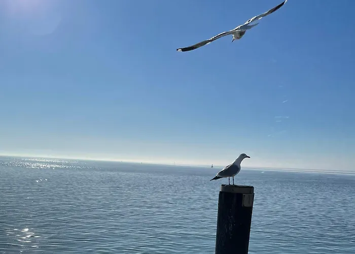 Paulsen's Und Restaurant 3* Bohmstedt